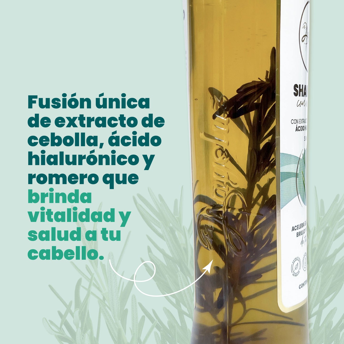 Shampoo con Romero Anyeluz® - 500ml